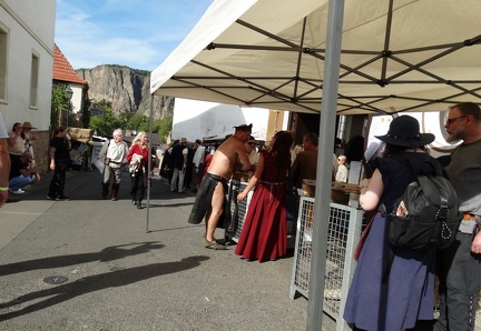 20250920WollmerSilviaDSC04555