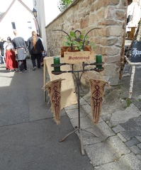 20250920WollmerSilviaDSC04564